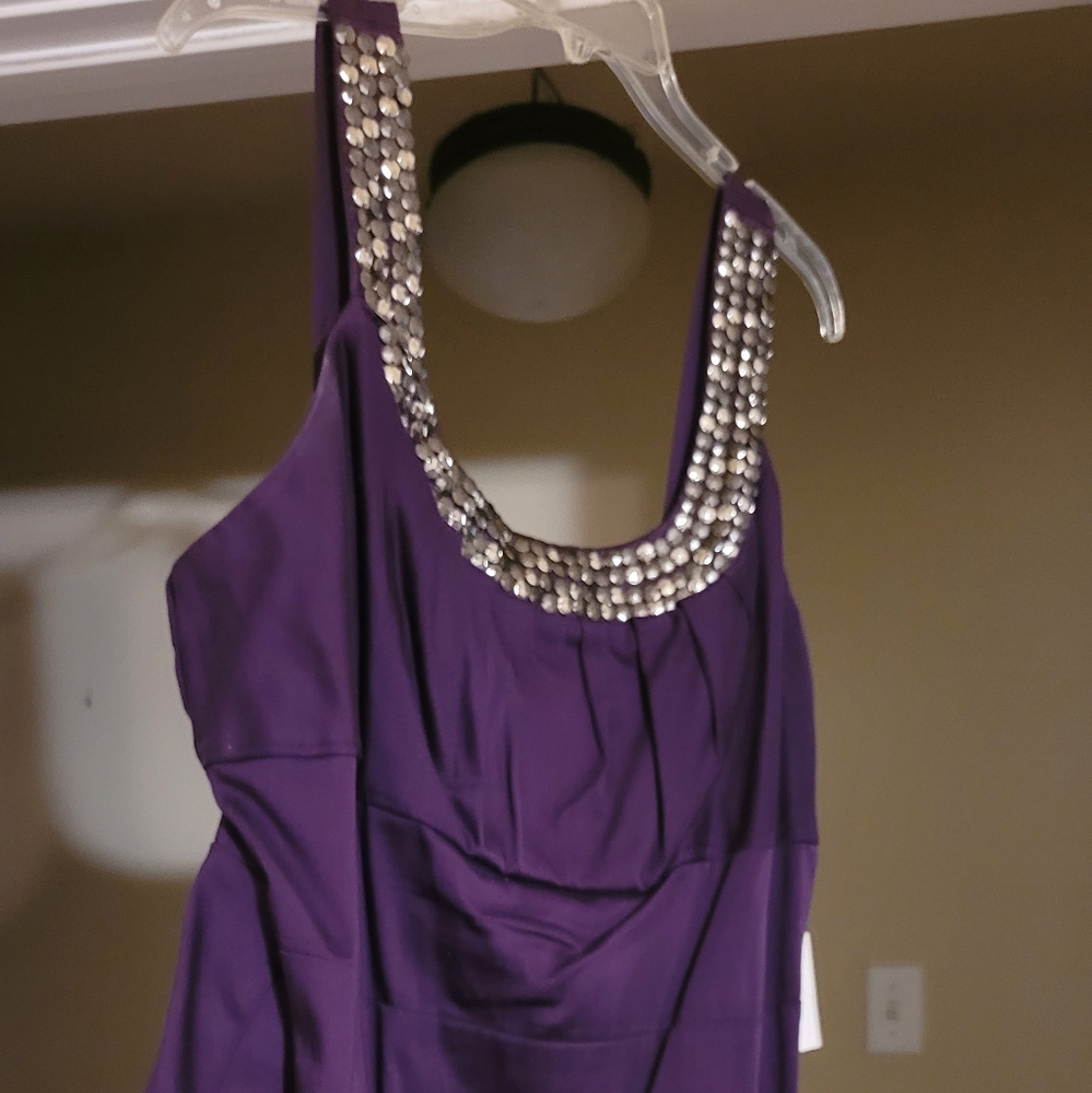 Purple Dress with Silver Embellishments